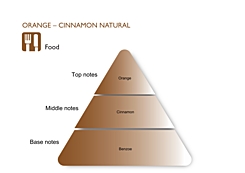 ORANGE CINNAMON NATURAL
