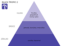BLACK TROPIC 2