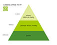 GREEN APPLE NEW