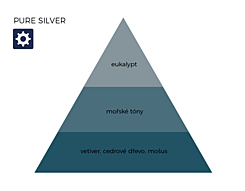 PURE SILVER
